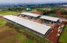 10,459 m² Warehouse with Backup Generator at Tilisi - 4