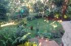 5 Bed Townhouse with En Suite in Kitisuru - 5