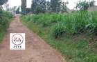 0.125 ac Land at Kasphat Estate - 3