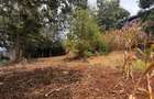 0.25 ac Land in Nyeri - 13