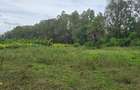2 ac Land at Animo - 8