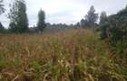 0.10 ha Land at Olkeri - 2