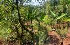 1.0 ac Land at Kandara Road - 10