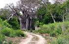10 ac Land at Kuruwitu Vipingo - 14