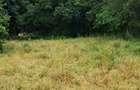 Land at Kilifi Town - 6