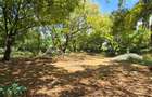 1 ac Land at Hemingways - 5