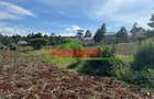 0.4 ha Land at Thogoto - 6