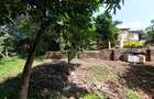 Residential Land at Riara Road - 9