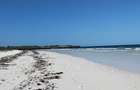 Land in Kilifi - 4