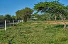 505 ac Land at Maiyan Road - 9