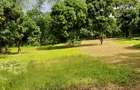 Land at Mtwapa - 8