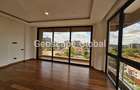 4 Bed Apartment with En Suite in Spring Valley - 8