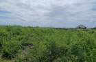Land in Watamu - 2
