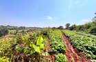 Land in Redhill - 3