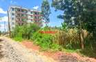 0.1 ha Commercial Land at Mwimuto - 3