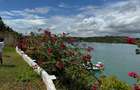 3 Bed Villa with En Suite at Kilifi Creek - 11