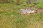 Land in Loresho - 1