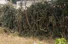 0.045 ac Land at Kitengela Newvalley - 7
