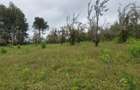 3 ac Land at Nazareth Road - 5