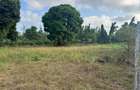 30 ac Land at Kikambala Bomani - 13