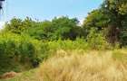 Land at Diani Beach Road - 10