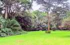 4.1 ac Land in Rosslyn - 9