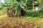 1 ac Land at Muchatha - 4