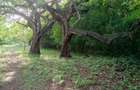 90 ac Residential Land at Kuruwitu-Vipingo - 3