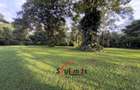 4 Bed House with Staff Quarters in Kitisuru - 2