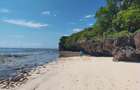 Land at Kuruwitu Beach Vipingo - 1