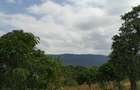 5,000 m² Land at Kilimambogo - 2