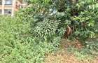 1.0 ac Land in Westlands Area - 3