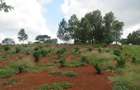 Land at Off Ruiru-Kamiti Rd - 2