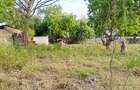 Land in Nyali Area - 1