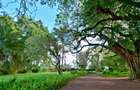 Residential Land in Ruiru - 8