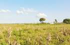 Land in Kilifi - 4