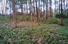 Land at Upper Matasia - 9