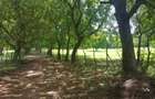 Commercial Land in Vipingo - 2