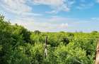 Land at Watamu - 13