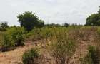 Land at Vipingo - 13