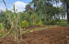 Land at Next To Tilisi Estate - 8
