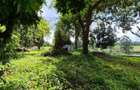 Commercial Land in Kitisuru - 10