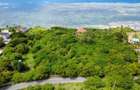 3 ac Land in Vipingo - 10