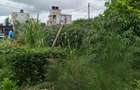 0.125 ac Residential Land at Kitengela Milimani - 4