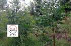 0.125 ac Land at Kasphat Estate - 10
