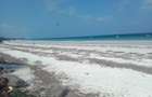 Land at Diani - 1