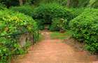 4 Bed Townhouse with Staff Quarters in Muthaiga - 3