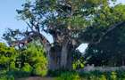 Land in Vipingo - 2
