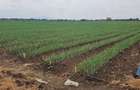 Land in Bisil - 3