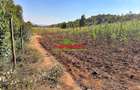 0.05 ha Residential Land at Kamangu - 4